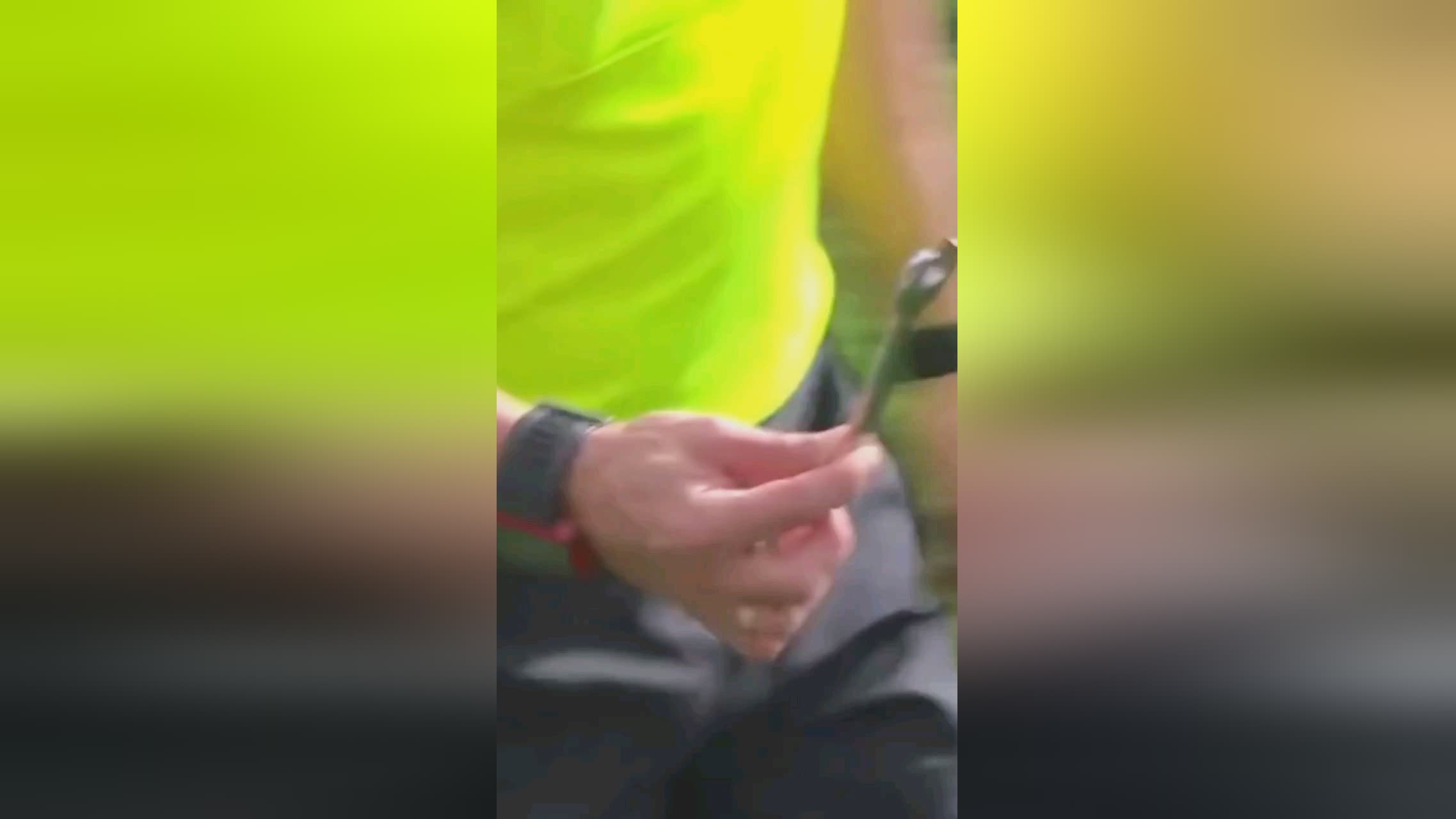 动机达拉斯